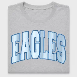 Retro Eagles Mascot DTF Transfer