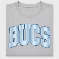Blue Striped Varsity DTF Transfer
