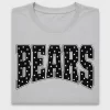 Retro Bears Varsity DTF Transfer