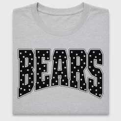 Retro Bears Varsity DTF Transfer