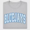 Retro Bluebird Text DTF Transfer