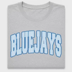 Retro Bluebird Text DTF Transfer